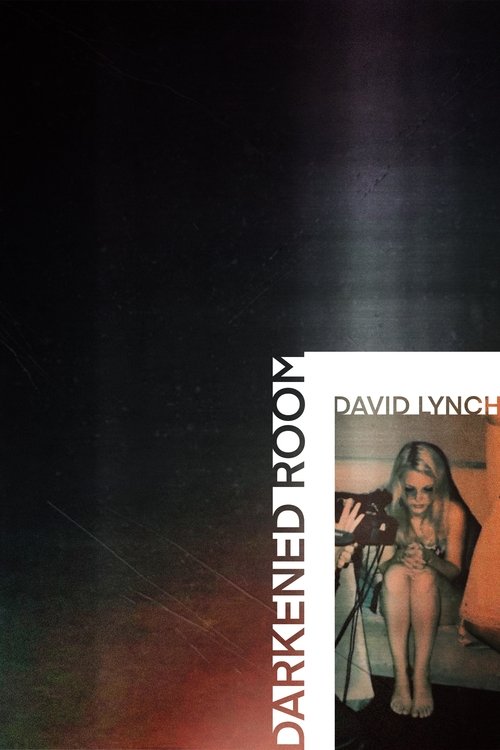 Darkened Room (2002)